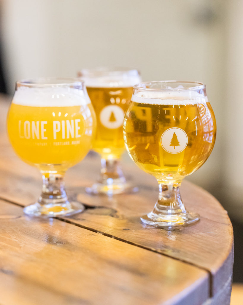 Space Metal Dinosaur 12oz Stemless Teku Glass Lone Pine Brewing Company