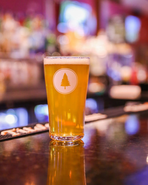 Quantum Cuddle Kitten 12oz Stemless Teku Glass Lone Pine Brewing Company