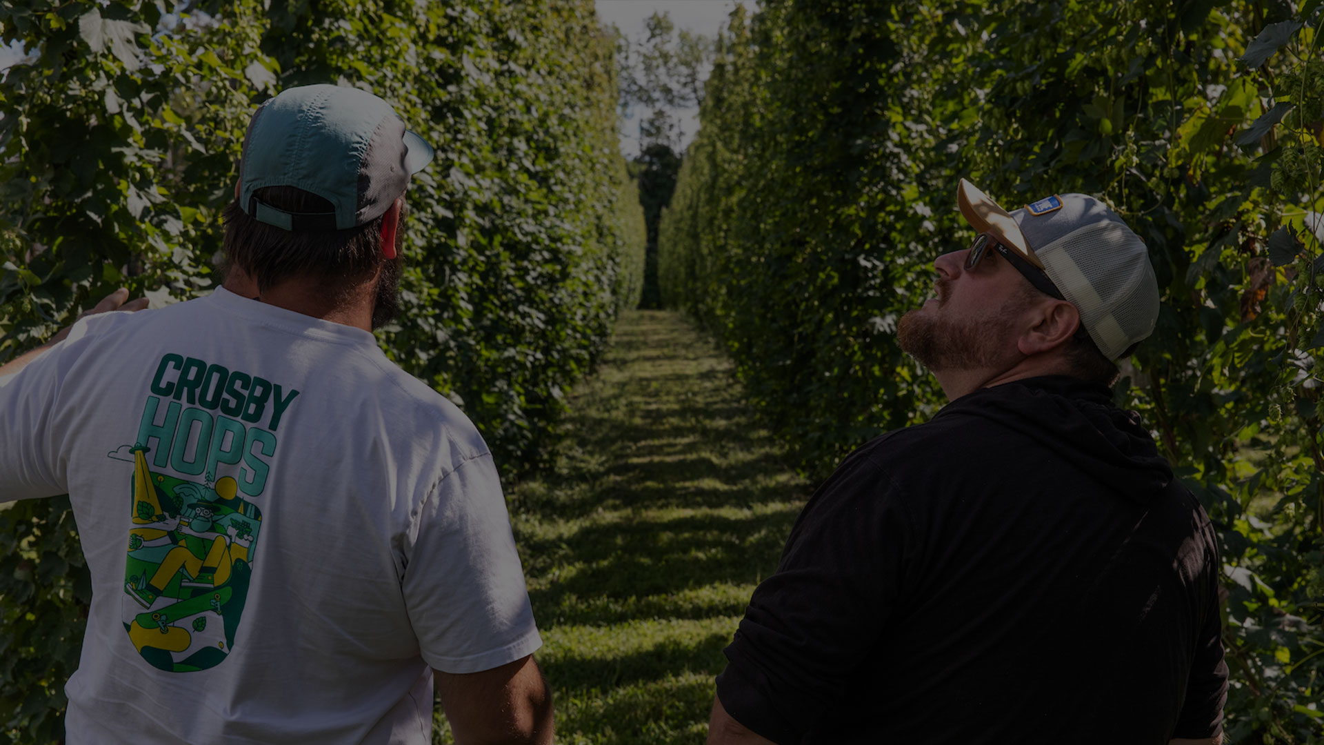 2022 Harvest with The Hop Yard